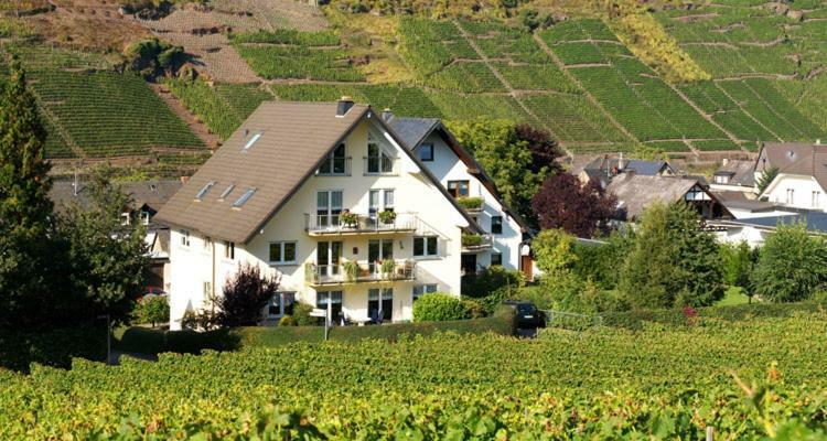 Ferienhaus Zenz - Ferienwohungen แอนสท์ ภายนอก รูปภาพ