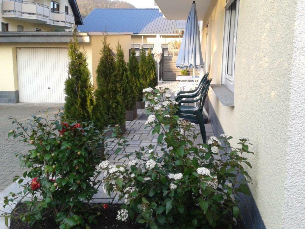Ferienhaus Zenz - Ferienwohungen แอนสท์ ภายนอก รูปภาพ